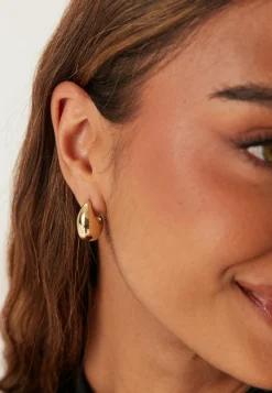 Pilgrim Korvakorut*Intent Earrings Gold-plated
